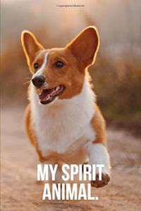 My Spirit Animal
