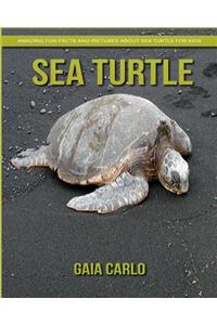 Sea Turtle