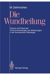 Die Wundheilung