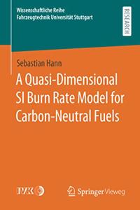 Quasi-Dimensional Si Burn Rate Model for Carbon-Neutral Fuels