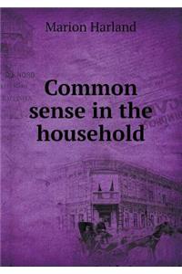 Common Sense in the Household