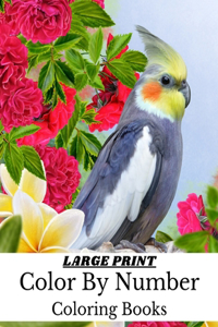 Large Print Color By Number Coloring Books