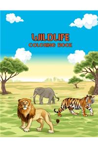 Wildlife Coloring Book