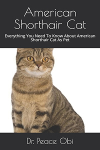 American Shorthair Cat