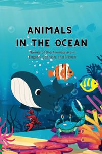 Animals in the Ocean