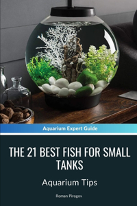 21 Best Fish For Small Tanks