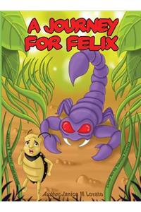 A Journey for Felix