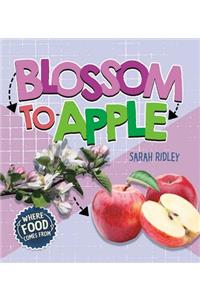 Blossom to Apple