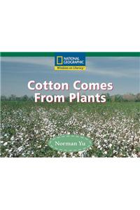 Cotton Comes from Plants
