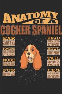 Anatomy Of A Cocker Spaniel
