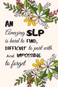 An amazing SLP is hard to find, difficult to part with and impossible to forget.