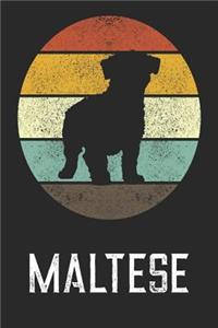 Maltese Dog