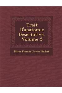 Trait D'Anatomie Descriptive, Volume 5