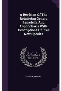 Revision Of The Rotatorian Genera Lepadella And Lophocharis With Descriptions Of Five New Species