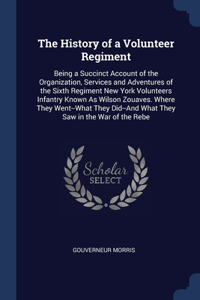 History of a Volunteer Regiment