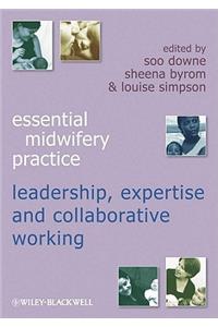 Expertise Leadership and Collaborative Working