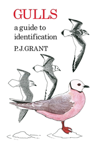 Gulls: A Guide to Identification. 2nd Edition