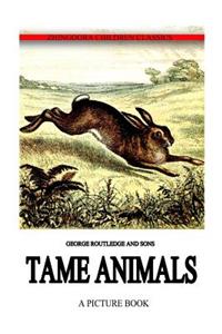 Tame Animals
