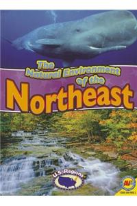 Natural Environment of the Northeast