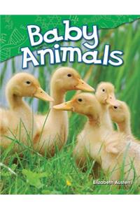 Baby Animals (Library Bound)