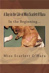 Day in the Life of Miss Scarlett O'Hara