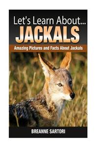 Jackals: Amazing Pictures and Facts about Monkeys