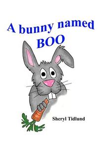 A bunny named BOO