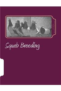 Squab Breeding