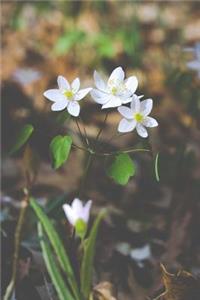 White Woodland Flower Journal