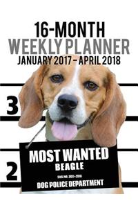 Most Wanted Beagle 2017-2018 Weekly Planner - 16 Month