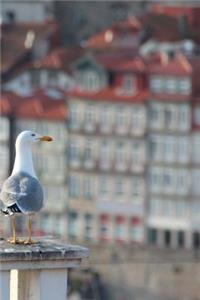 Porto Portugal Notebook