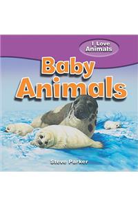 Baby Animals