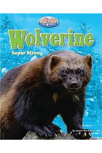 Wolverine