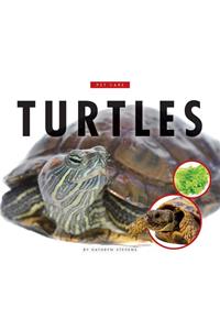 Turtles