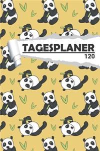Tagesplaner Panda Bär
