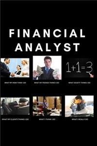 Financial Analyst