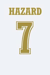 Hazard 7