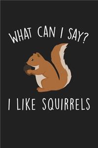 What Can I Say I Like Squirrels