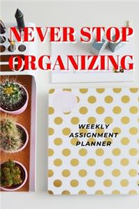 Never Stop Organizing