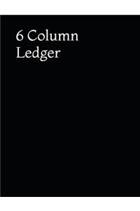 6 Column Ledger