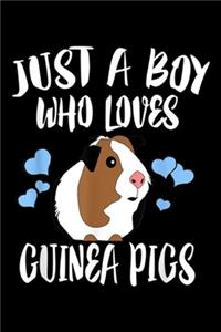 Just A Boy Who Loves Guinea Pigs