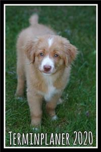 Terminplaner 2020