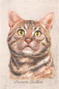 American Shorthair Cat Portrait Notebook