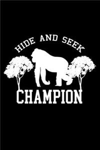 Hide And Seek Champion
