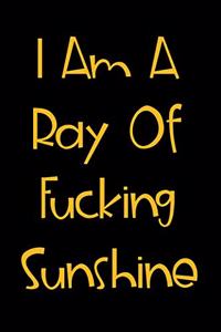 I Am A Ray Of Fucking Sunshine