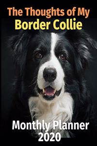 The Thoughts of My Border Collie