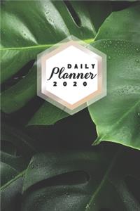 Daily Planner 2020