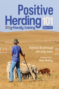 Positive Herding 101