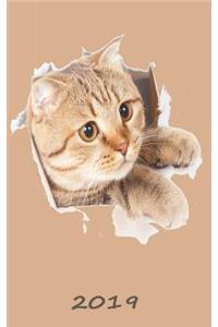Cat Daily Planner 2019