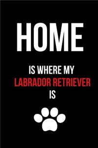 Home Is Where My Labrador Retriever Is